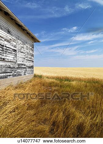 Stock Photo - Exterior of weathered abandoned building with peeling paint in grasslands.. Fotosearch
