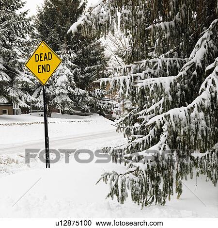 Stock Image - Snowy street scene in suburb with evergreen trees and dead end road sign.. Fotosearch