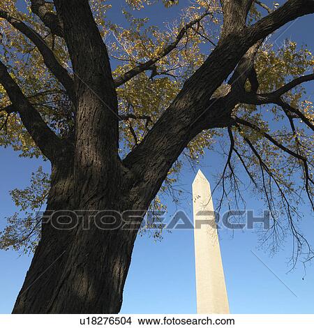 Washington Monument in Washington, D. C., USA. View Large Photo Image Picture - Washington Monument in Washington, D. C., USA.. Fotosearch