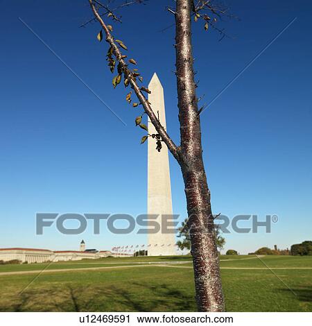 Washington Monument in Washington, D. C., USA. View Large Photo Image Stock Image - Washington Monument in Washington, D. C., USA.. Fotosearch