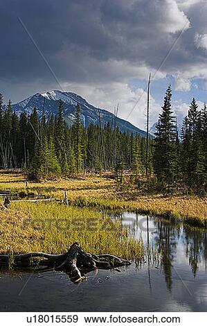 Stock Photo - Beaver Pond and Mount Baldy, Kananaskis Country, Alberta, Canada. Fotosearch