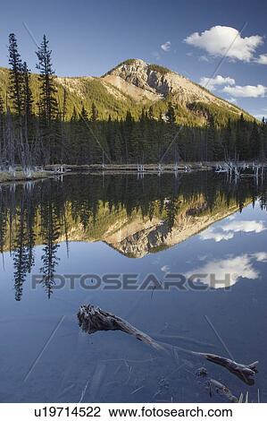 Stock Image - Beaver Pond - Kananaskis Country - Alberta. Fotosearch
