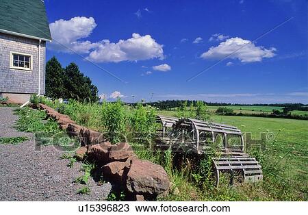 Stock Image - Lobster traps outside of a farmhouse, PEI. Fotosearch