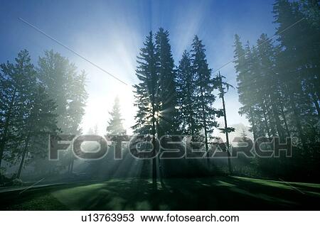 Stock Image - Sunburst, Whistler, BC, Canada. Fotosearch