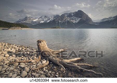 Picture - Upper Kananaskis Lake, Peter Lougheed Prov. Park, Kananaskis Country, Alberta, Canada. Fotosearch