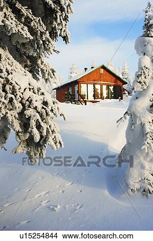 View of La Nictale shelter and snow-covered trees, Quebec, Canada View Large Photo Image Picture - View of La Nictale shelter and snow-covered trees, Quebec, Canada. Fotosearch