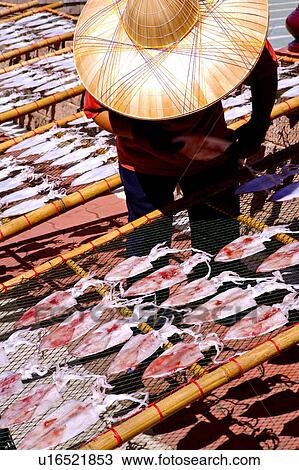 Stock Image - People drying the sleeve-fish on the net, Penghu, Taiwan. Fotosearch