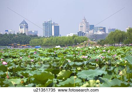 Beautiful scenery of West Lake in Hangzhou, Zhejiang Province View Large Photo Image Stock Photography - Beautiful scenery of West Lake in Hangzhou, Zhejiang Province. Fotosearch