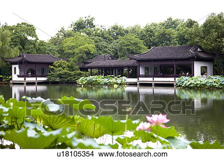 Lotus Stirred by Breeze in Quyuan Garden in West Lake, Lotus Stirred by Breeze in Quyuan Garden View Large Photo Image Picture - Lotus Stirred by Breeze in Quyuan Garden in West Lake, Lotus Stirred by Breeze in Quyuan Garden. Fotosearch