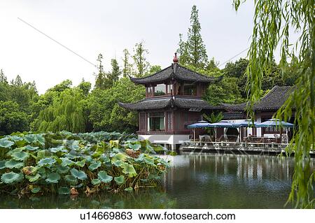 Lotus Stirred by Breeze in Quyuan Garden in West Lake, Hangzhou, Zhejiang Province View Large Photo Image Stock Image - Lotus Stirred by Breeze in Quyuan Garden in West Lake, Hangzhou, Zhejiang Province. Fotosearch