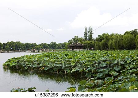 Stock Photograph - Scenery in West Lake in Hangzhou, Zhejiang Province. Fotosearch