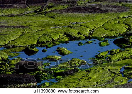 Stock Image - Rock scenery in Sandiao Cape, Taipei, Taiwan. Fotosearch