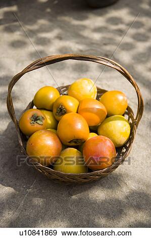 Stock Photo - A basket of persimmons of Hsinpu Town, Hsinchu County, Taiwan. Fotosearch
