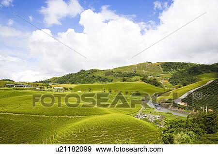 Stock Photo - Beautiful scenery in Liushidan Mountain, Fuli Township, Hualien County, Taiwan. Fotosearch