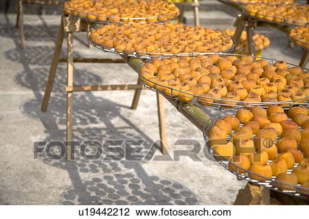 Stock Image - Drying persimmons of Hsinpu Town, Hsinchu County, Taiwan. Fotosearch