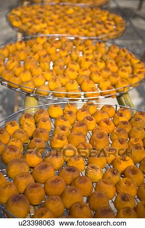 Stock Image - Drying persimmons of Hsinpu Town, Hsinchu County, Taiwan. Fotosearch