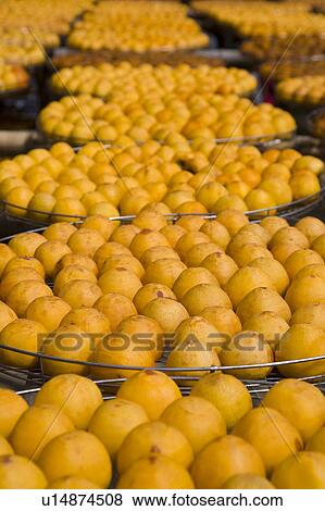 Stock Photo - Drying persimmons of Hsinpu Town, Hsinchu County, Taiwan. Fotosearch