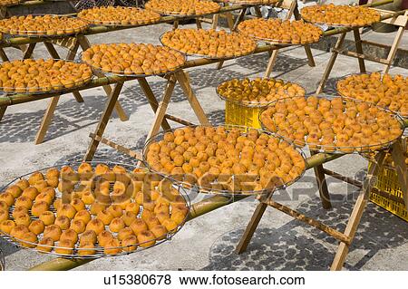 Stock Photo - Drying persimmons of Hsinpu Town, Hsinchu County, Taiwan. Fotosearch