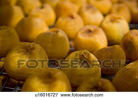 Stock Photo - Drying persimmons of Hsinpu Town, Hsinchu County, Taiwan. Fotosearch
