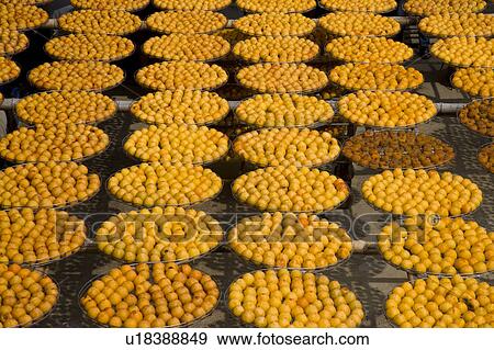 Drying persimmons of Hsinpu Town, Hsinchu County, Taiwan View Large Photo Image Stock Photo - Drying persimmons of Hsinpu Town, Hsinchu County, Taiwan. Fotosearch