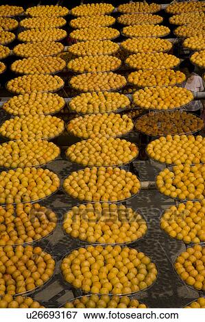 Stock Photo - Drying persimmons of Hsinpu Town, Hsinchu County, Taiwan. Fotosearch