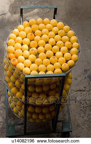 Stock Photograph - Drying persimmons of Hsinpu Town, Hsinchu County, Taiwan. Fotosearch