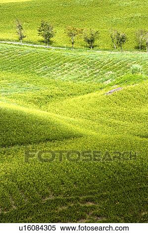 Natural scenery of Liushidan Mountain, Fuli Township, Hualien County, Taiwan View Large Photo Image Stock Photography - Natural scenery of Liushidan Mountain, Fuli Township, Hualien County, Taiwan. Fotosearch