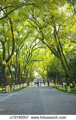 Jingjiang Palace in Guilin, Guangxi Province, China View Large Photo Image Stock Photo - Jingjiang Palace in Guilin, Guangxi Province, China. Fotosearch