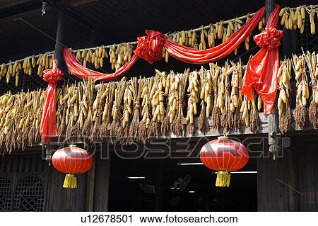 Stock Image - China, Guangxi Province, Guilin, Yangshuo, corns on the cob. Fotosearch
