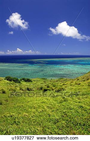 Stock Photo - Coral reef. Fotosearch
