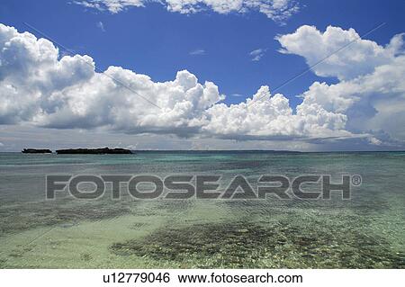 Stock Photograph - Coral reef. Fotosearch