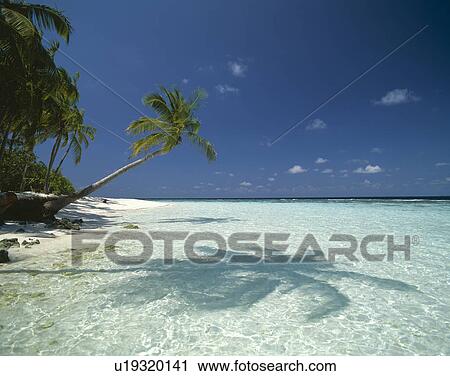Stock Image - Resort. Fotosearch