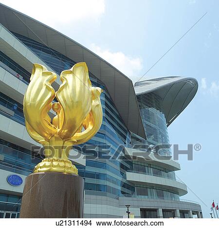 Golden bauhinia blakeana View Large Photo Image Picture - Golden bauhinia blakeana. Fotosearch