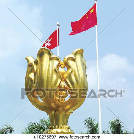 Golden bauhinia blakeana View Large Photo Image Stock Photo - Golden bauhinia blakeana. Fotosearch
