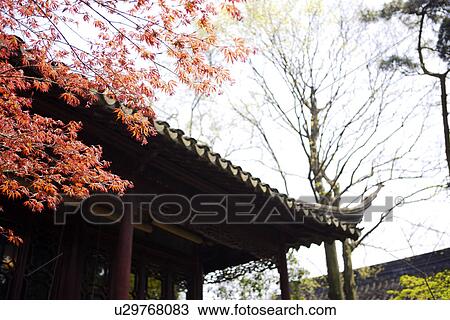 China, Jiangsu Province, Suzhou, The Humble Administrator's Garden View Large Photo Image Stock Image - China, Jiangsu Province, Suzhou, The Humble Administrator's Garden. Fotosearch