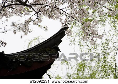 Roof, West Lake, Hangzhou, Zhejiang Province, China, Asia View Large Photo Image Stock Image - Roof, West Lake, Hangzhou, Zhejiang Province, China, Asia. Fotosearch