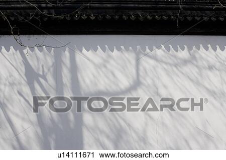 Stock Image - Shadow of tree on wall, West Lake, Hangzhou, Zhejiang Province, China, Asia. Fotosearch