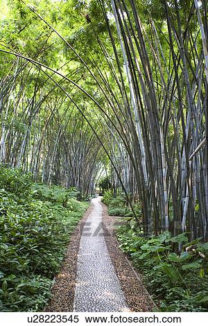 Stock Photography - China, Guangdong, Guangzhou, Footpath. Fotosearch