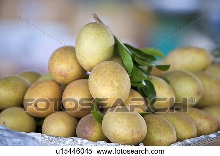 China,, Guangdong, Guangzhou, heap of fruit View Large Photo Image Stock Photography - China,, Guangdong, Guangzhou, heap of fruit. Fotosearch