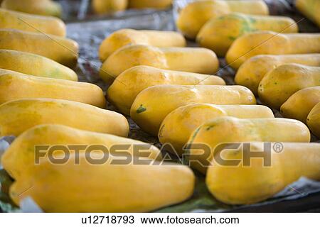 China,, Guangdong, Guangzhou, mangoes View Large Photo Image Stock Image - China,, Guangdong, Guangzhou, mangoes. Fotosearch