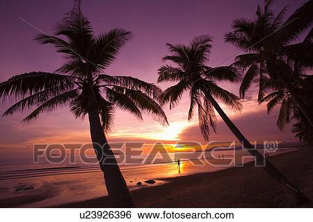 Stock Photograph - Asia, China, Hainan Island, Sanya Bay, seaside with coconut palms. Fotosearch