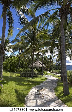 Asia, China, Hainan Island, Sanya, Dadong Sea View Large Photo Image Stock Image - Asia, China, Hainan Island, Sanya, Dadong Sea. Fotosearch