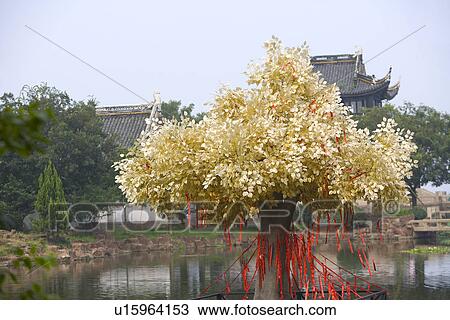 Stock Image - Asia, China, Jiangsu Province, Tongli Town, Prayer ribbons tied on tree. Fotosearch