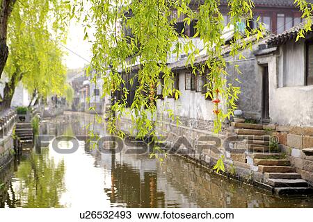 Stock Image - China, Zhejiang Province, Xitang Ancient Scenic Town, willow trees in the foreground. Fotosearch