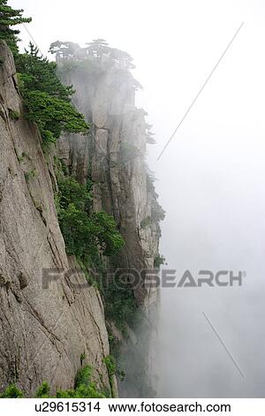 China, Anhui, Mt. Huangshan, plant growing on steep mountainside View Large Photo Image Picture - China, Anhui, Mt. Huangshan, plant growing on steep mountainside. Fotosearch