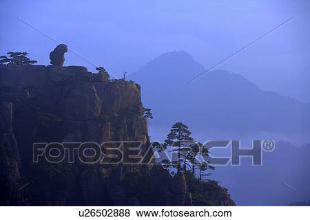 China, Anhui, Mt. Huangshan, The Monkey Gazing At The Sea View Large Photo Image Stock Photo - China, Anhui, Mt. Huangshan, The Monkey Gazing At The Sea. Fotosearch