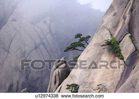 Stock Photo - China, Anhui Province, Mt. Huangshan. Fotosearch