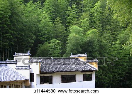 Stock Image - China, Anhui, Mount Huangshan area, bamboo forest. Fotosearch