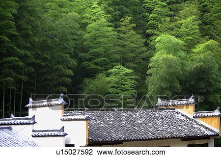 China, Anhui, Mount Huangshan area, bamboo forest, roof View Large Photo Image Stock Image - China, Anhui, Mount Huangshan area, bamboo forest, roof. Fotosearch