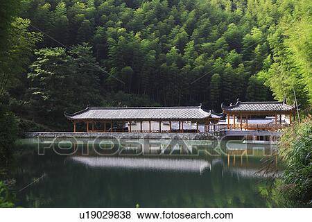 China, Anhui, Mount Huangshan area, bamboo forest View Large Photo Image Stock Photo - China, Anhui, Mount Huangshan area, bamboo forest. Fotosearch